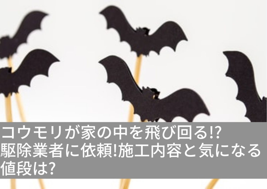 コウモリが家の中を飛び回る 駆除業者に依頼 施工内容と気になる値段は ヘエ ナルblog