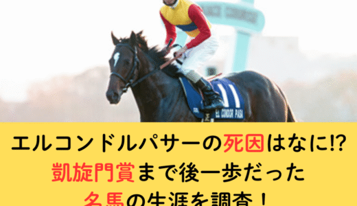 エルコンドルパサーの死因はなに!?凱旋門賞まで後一歩だった名馬の生涯を調査！