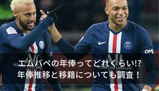 イブラヒモビッチの嫁がヤバい 馴れ初めや子供の名前 性別も調査 ヘエ ナルblog