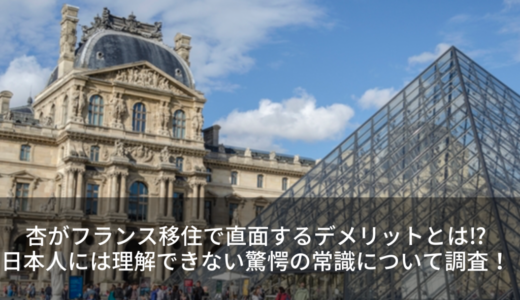 杏がフランス移住で直面するデメリットとは⁉︎日本人には理解できない驚愕の常識について調査！