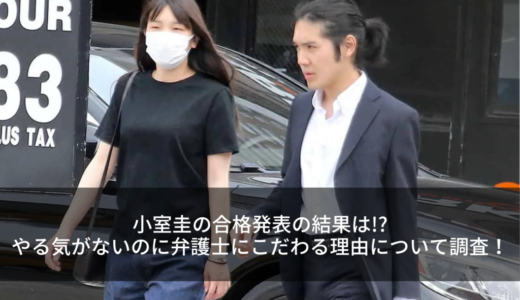 小室圭の合格発表の結果は!?やる気がないのに弁護士にこだわる理由について調査！